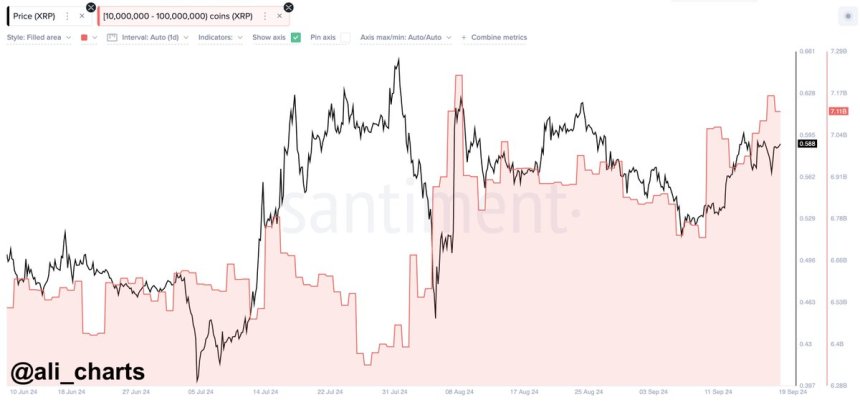 Las ballenas de Ripple compraron más de 380 millones de XRP en los últimos 10 días. 