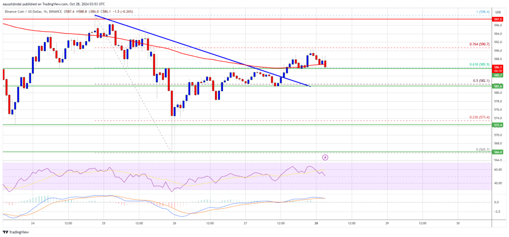 BNB Price