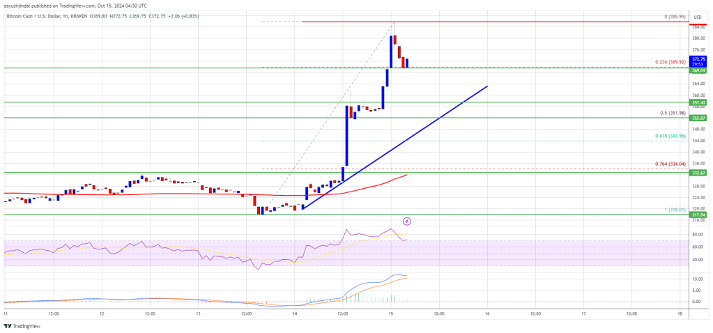 Bitcoin Cash (BCH) 