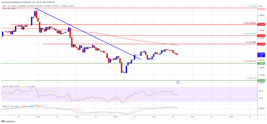 XRP Price