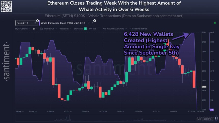 Ethereum whale activity spiked to a 6-week high 