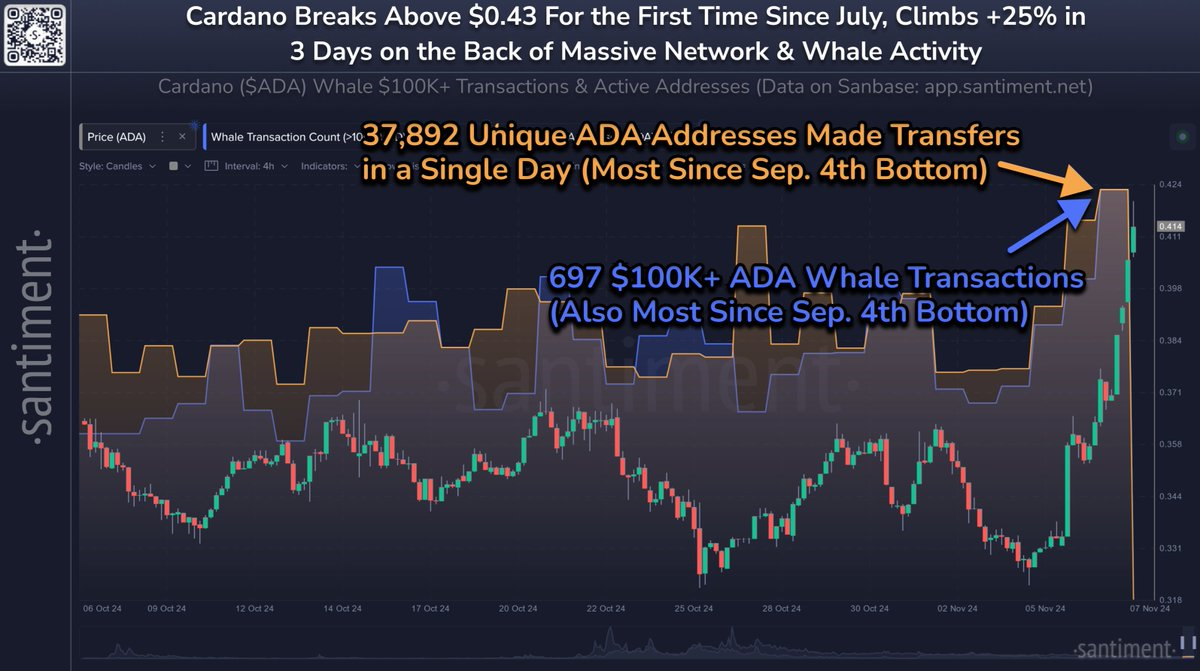 Cardano whale activity