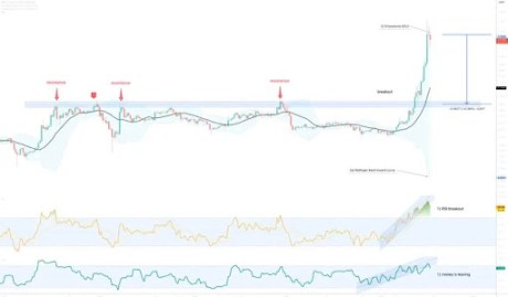 XRP Price