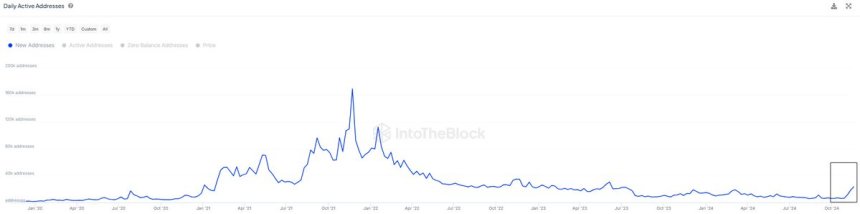 Cardano daily active addresses growing 