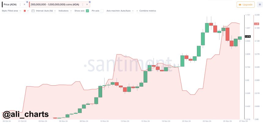 Cardano Whales bought over 130 million ADA during the recent correction