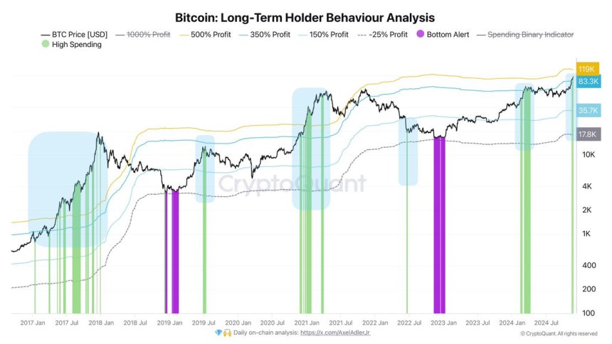 Bitcoin LTH Behaviour Analysis 