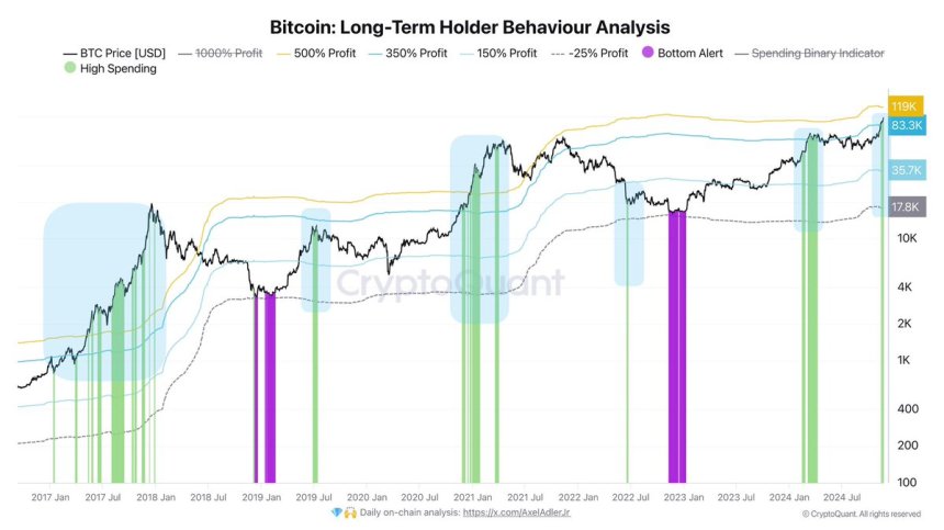 Análisis del comportamiento de los LTH de Bitcoin 