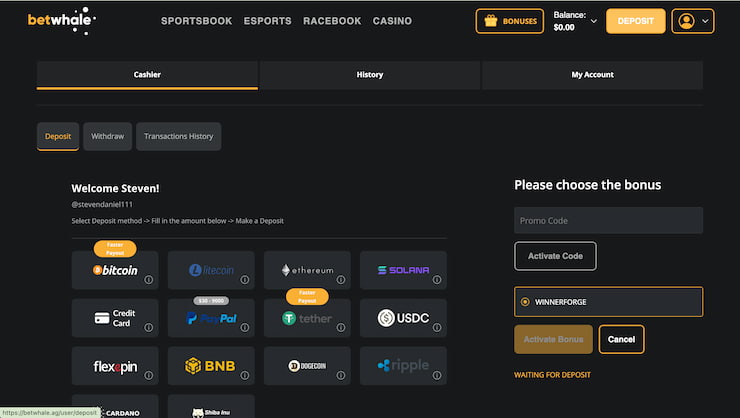 BetWhale deposit page