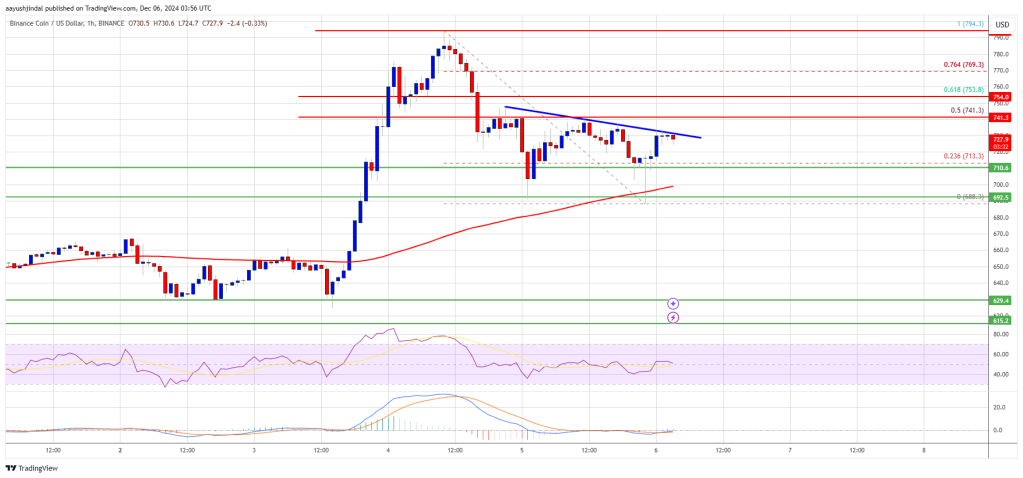 BNB Price