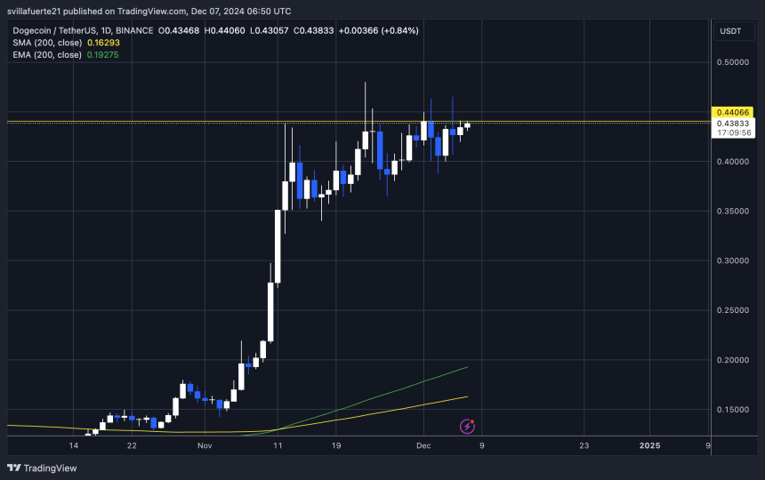 DOGE testing crucial supply 