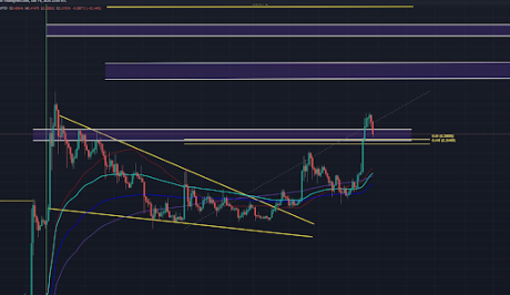 Dogecoin price