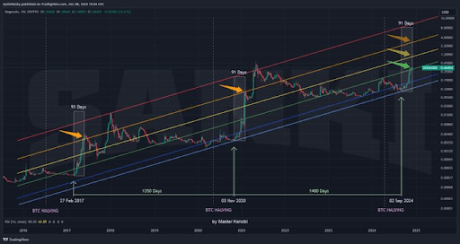 Precio de Dogecoin 91