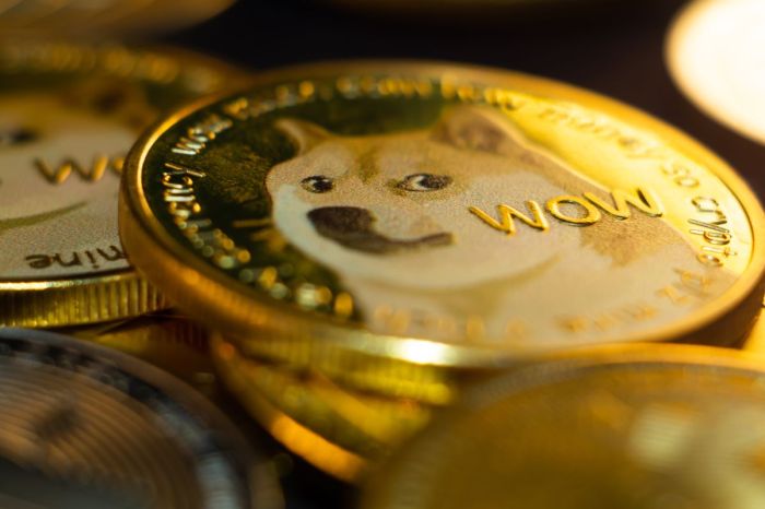 Dogecoin Meme Coin