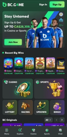 bc game mobile screenshot