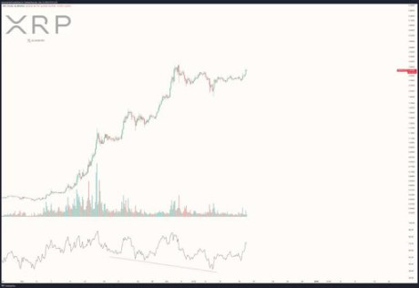 XRP Price 1