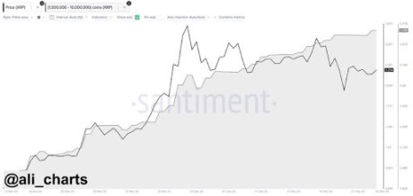 Precio del XRP 2