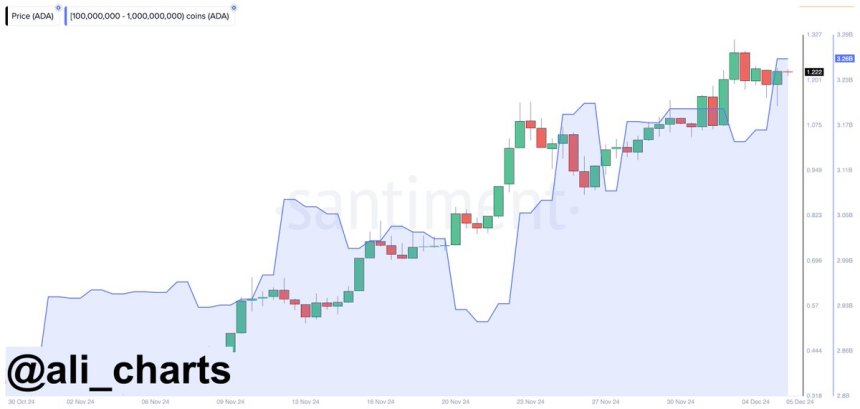 Las ballenas de Cardano compraron más de 100 millones de $ADA en las últimas 24 horas