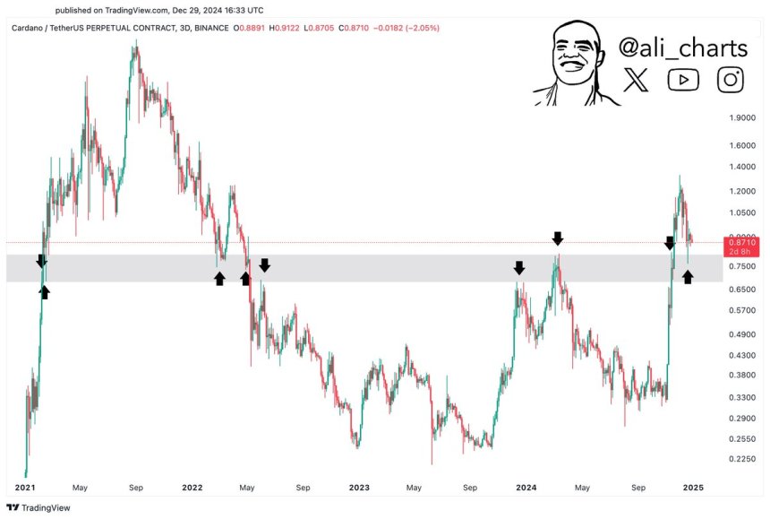 Cardano holding key support 