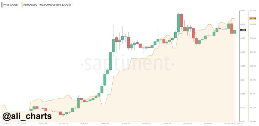 Las ballenas de Dogecoin compraron 160 millones de DOGE durante el fin de semana 