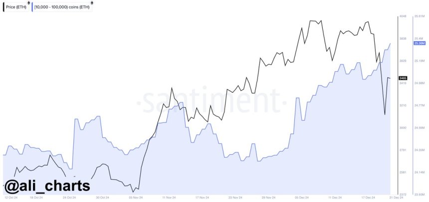 Las ballenas de Ethereum compraron 340,000 ETH en las últimas 96 horas