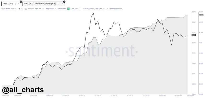 XRP whales bought another 40 million XRP in the last 24 hours