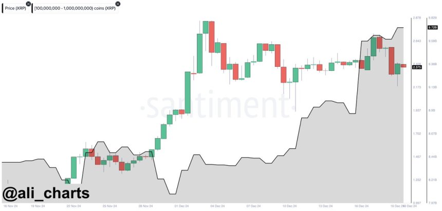 XRP whales loading up 