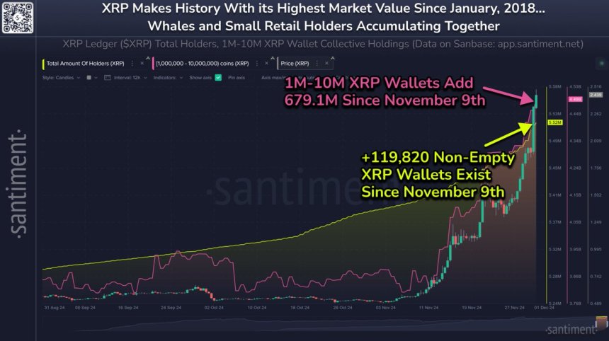 Whales have accumulated 679.1M XRP (currently worth $1.66B) in just 3 weeks 