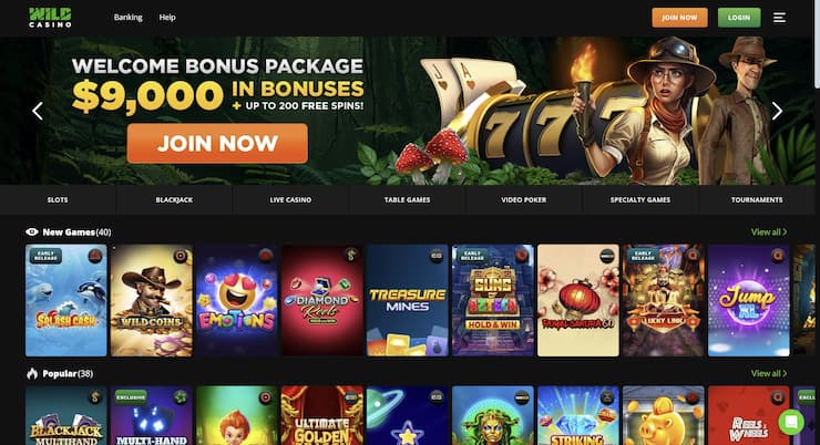 Wild Casino - homepage of the best Washington online casino