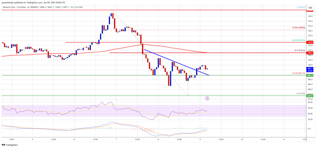 BNB Price