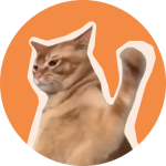 CatSlap welke crypto kopen