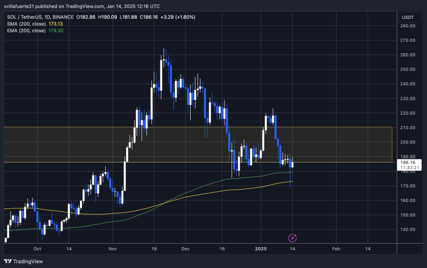 SOL testing liquidity around $185 | Source: SOLUSDT chart on TradingView