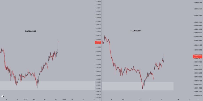 DOGE and other dog-themed coins like FLOKI starting to move | Source: Jelle on X 