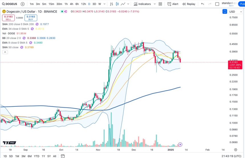 Prueba de demanda diaria de Dogecoin