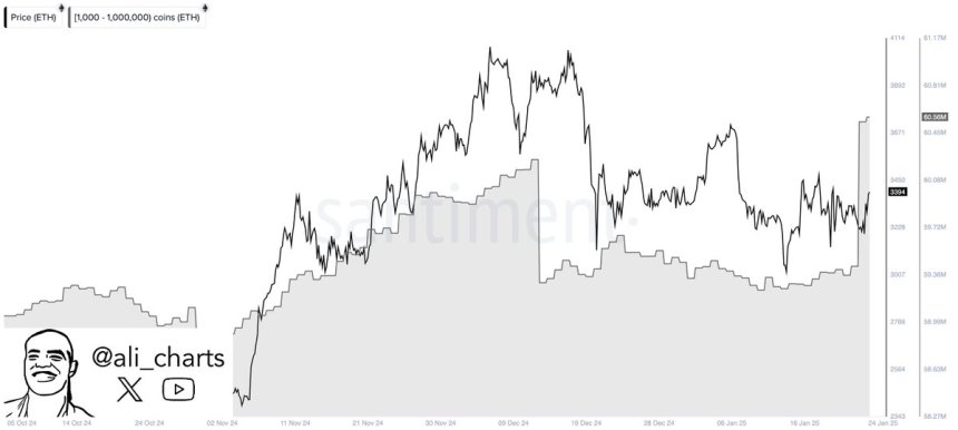 Las ballenas de Ethereum compran 1.4 millones de ETH en 48 horas | Fuente: Ali Martínez en X