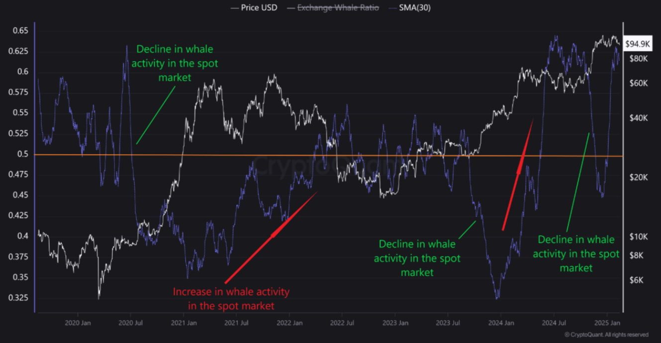 Bitcoin whales tease next phase of bull run