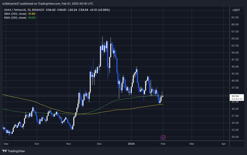 AVAX probando oferta crucial | Fuente: gráfico AVAXUSDT en TradingView