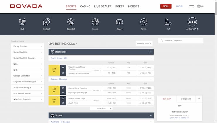 Bovada home page for sports bettors in Florida