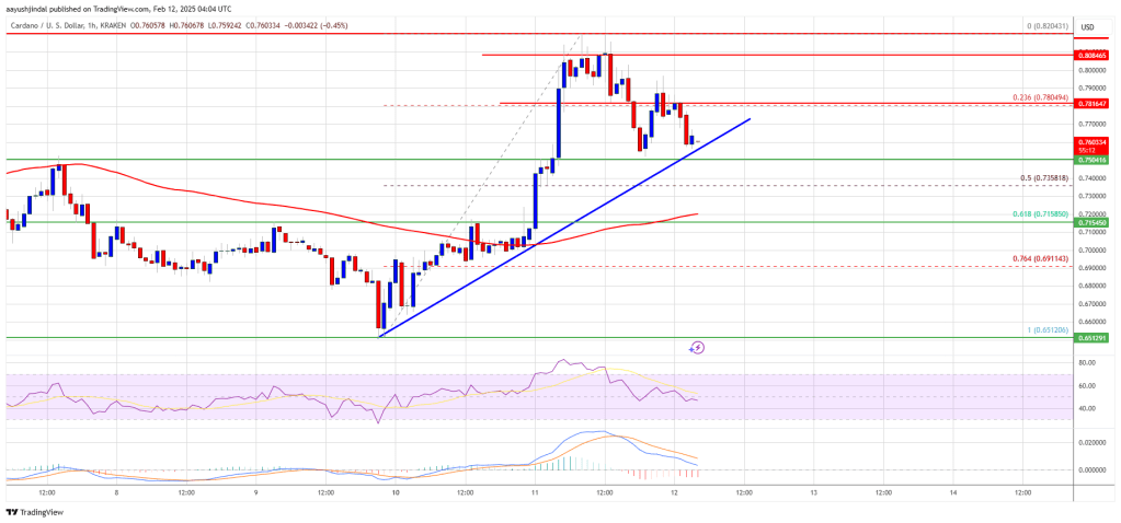 Cardano Price