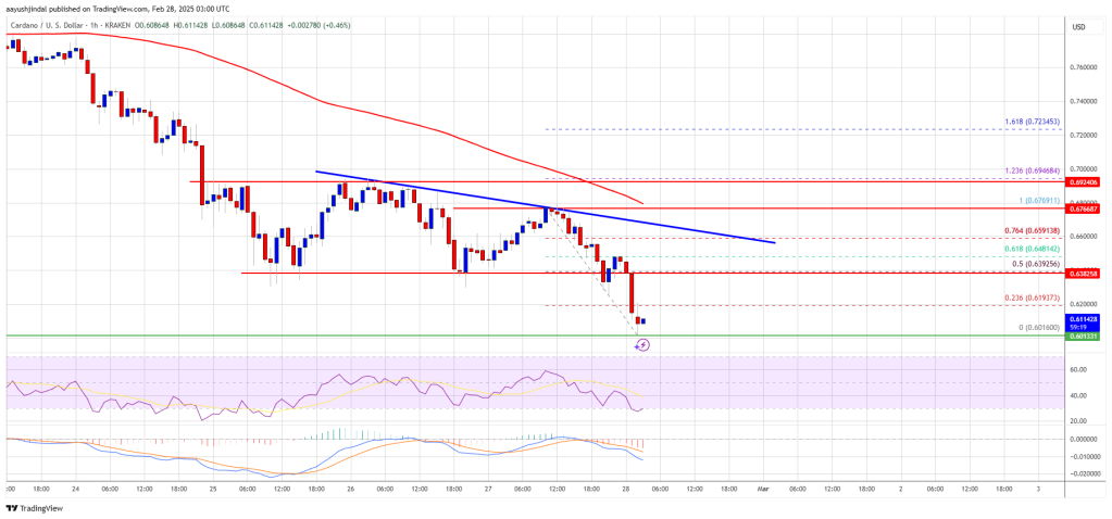 Cardano Price