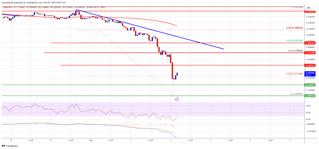 Dogecoin Price