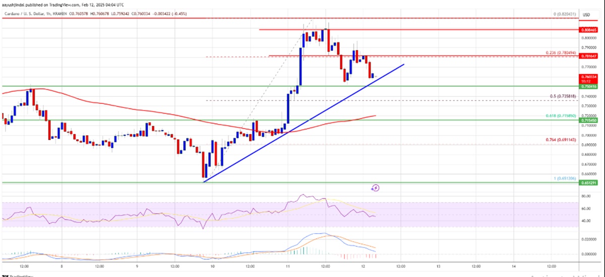 Giá Cardano leo lên trên 0,70 USD