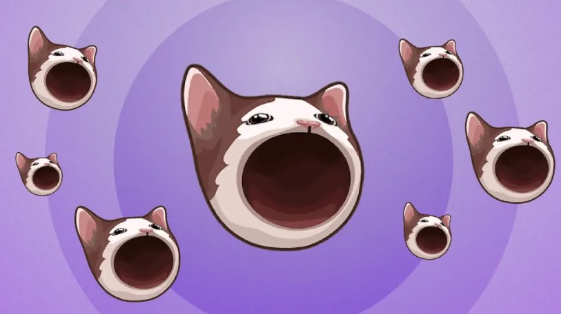 Popcat: Meme Coin Mới Nổi Đang Cách Mạng Hóa Thị Trường