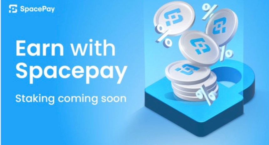 SpacePay’s Innovative Features