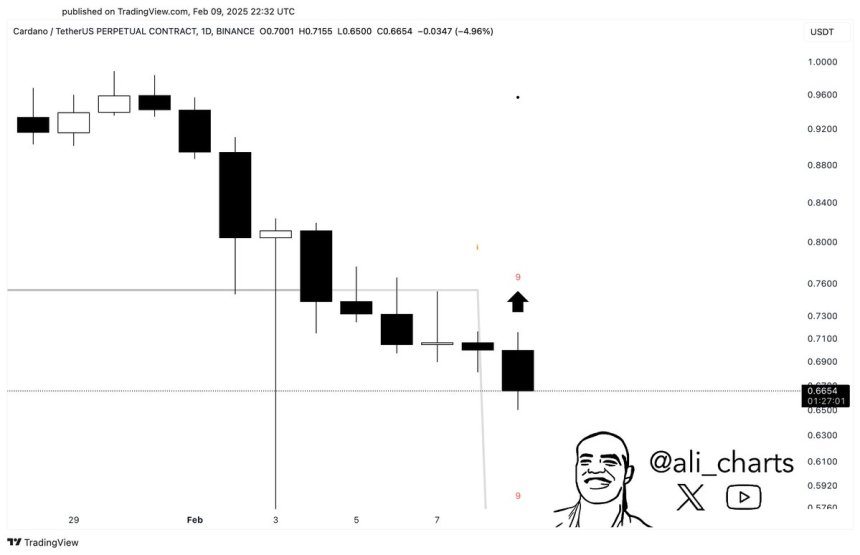 Cardano TD Sequential indicator flashes a buy signal on the daily chart | Source: Ali Martinez on X