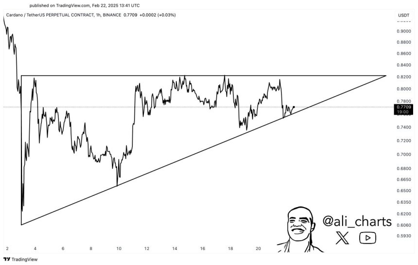 Cardano Forming A Bullish Pattern | Source: ADAUSDT chart on TradingView