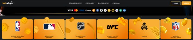betwhale sports betting