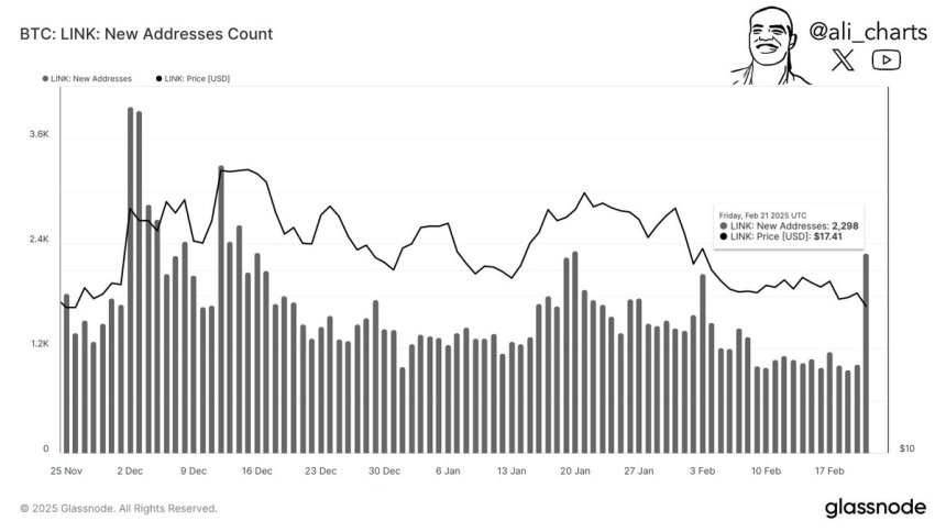 Recuento de nuevas direcciones de Chainlink | Fuente: Ali Martinez en X