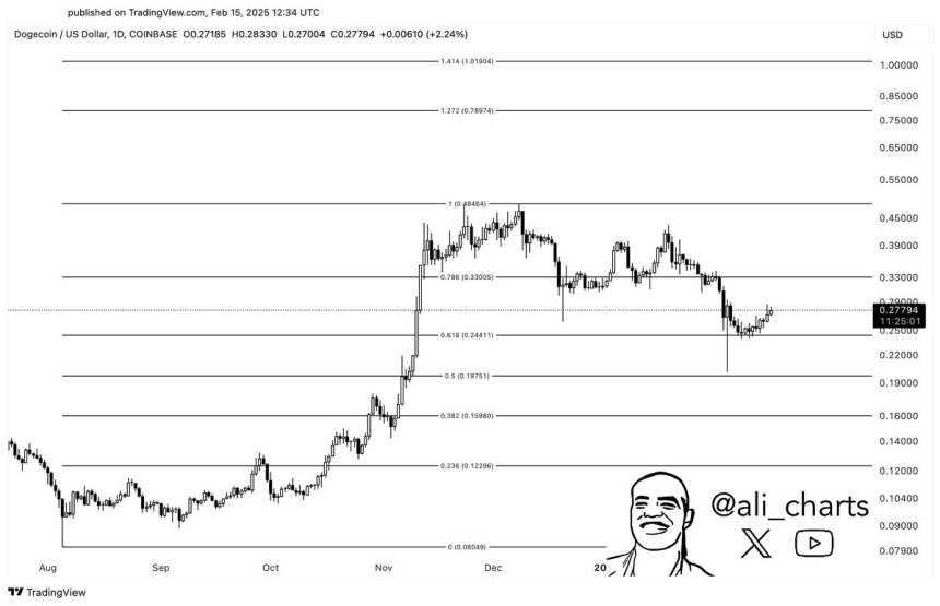 Dogecoin retraces to the 0.618 Fib level | Source: Ali Martinez on X
