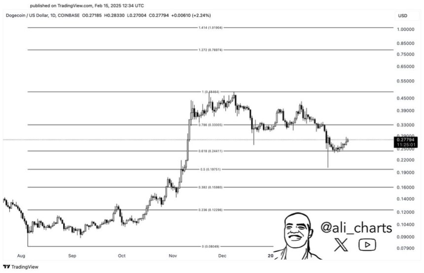 Dogecoin retraces to the 0.618 Fib level | Source: Ali Martinez on X