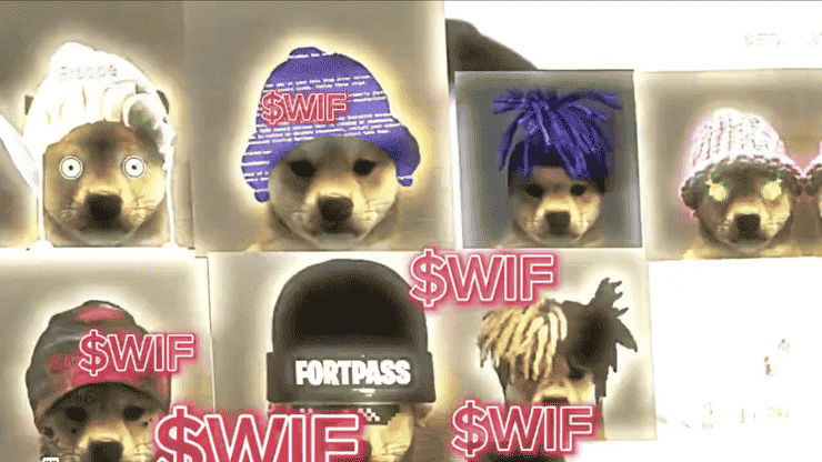 dogwifhat meme coin